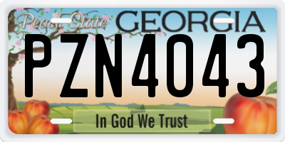 GA license plate PZN4043