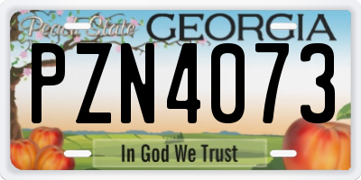 GA license plate PZN4073