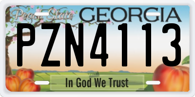 GA license plate PZN4113
