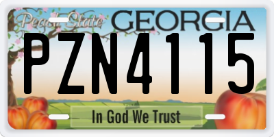 GA license plate PZN4115