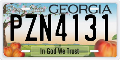 GA license plate PZN4131