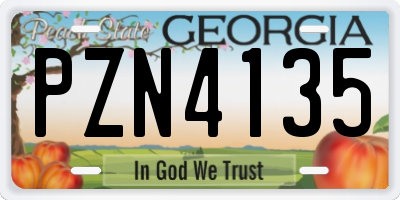 GA license plate PZN4135