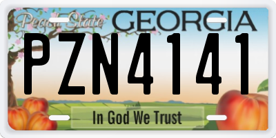 GA license plate PZN4141