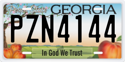 GA license plate PZN4144