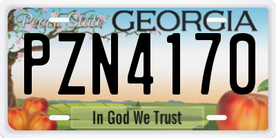 GA license plate PZN4170