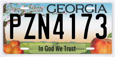 GA license plate PZN4173