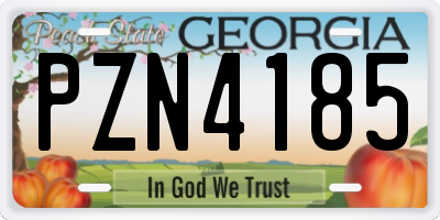 GA license plate PZN4185