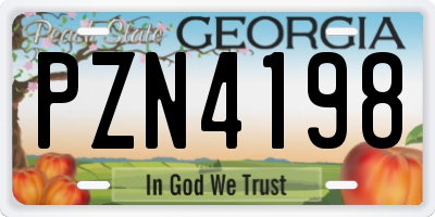 GA license plate PZN4198
