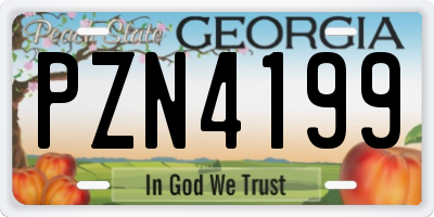 GA license plate PZN4199