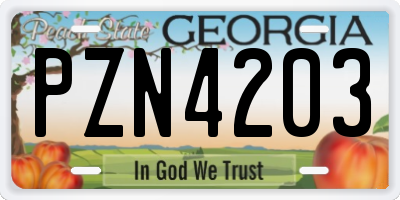 GA license plate PZN4203