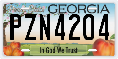 GA license plate PZN4204