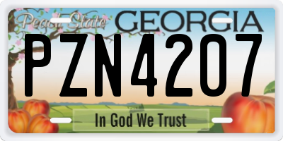 GA license plate PZN4207