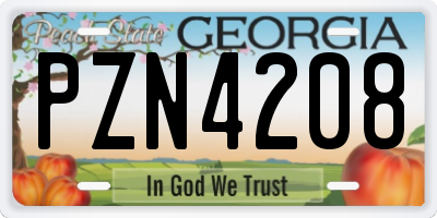 GA license plate PZN4208