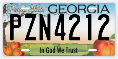 GA license plate PZN4212