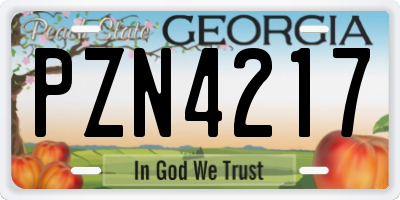 GA license plate PZN4217