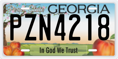 GA license plate PZN4218