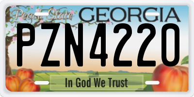 GA license plate PZN4220
