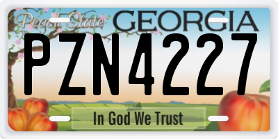 GA license plate PZN4227