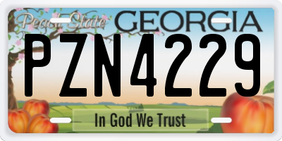 GA license plate PZN4229