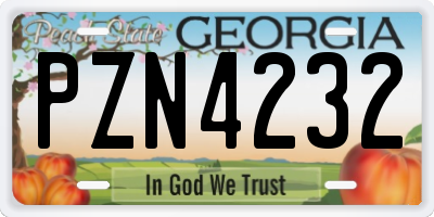 GA license plate PZN4232