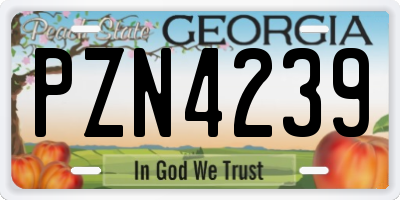 GA license plate PZN4239