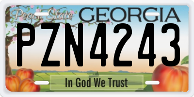 GA license plate PZN4243