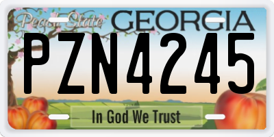 GA license plate PZN4245