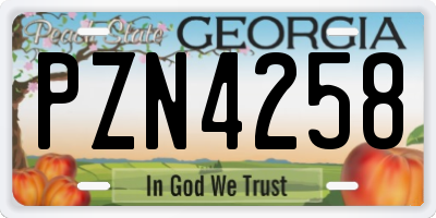GA license plate PZN4258