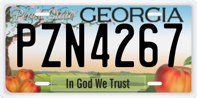 GA license plate PZN4267