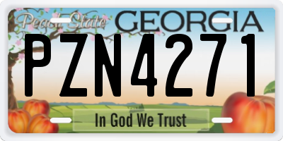 GA license plate PZN4271