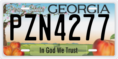 GA license plate PZN4277