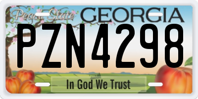 GA license plate PZN4298