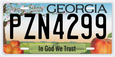 GA license plate PZN4299