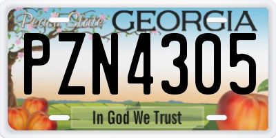 GA license plate PZN4305