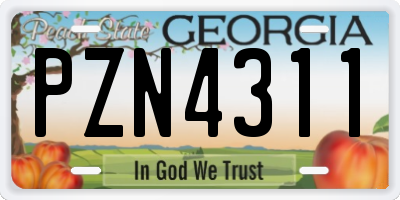 GA license plate PZN4311