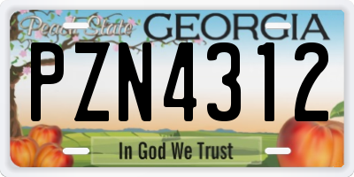 GA license plate PZN4312