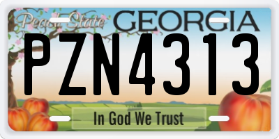 GA license plate PZN4313