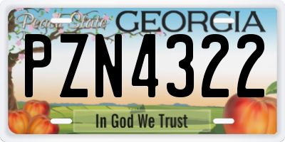 GA license plate PZN4322