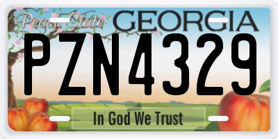 GA license plate PZN4329
