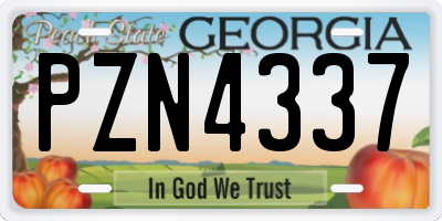 GA license plate PZN4337