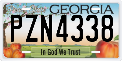 GA license plate PZN4338