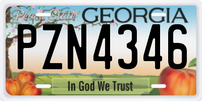 GA license plate PZN4346