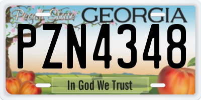 GA license plate PZN4348