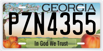 GA license plate PZN4355