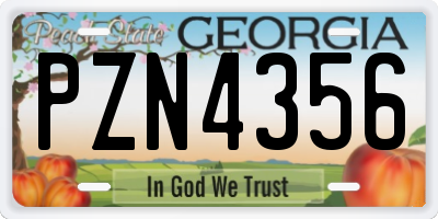 GA license plate PZN4356