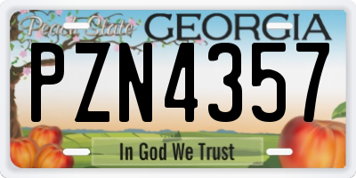 GA license plate PZN4357