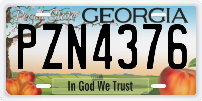 GA license plate PZN4376