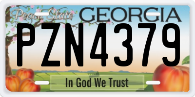 GA license plate PZN4379