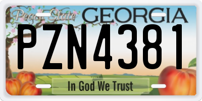 GA license plate PZN4381