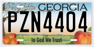 GA license plate PZN4404